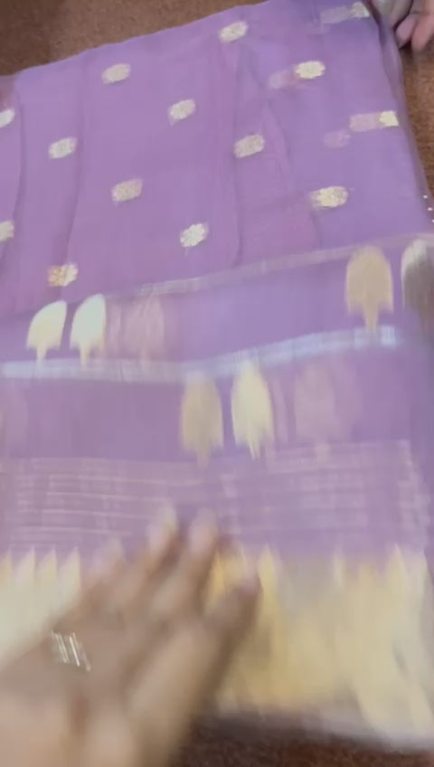 Pure Kora Silk Sari